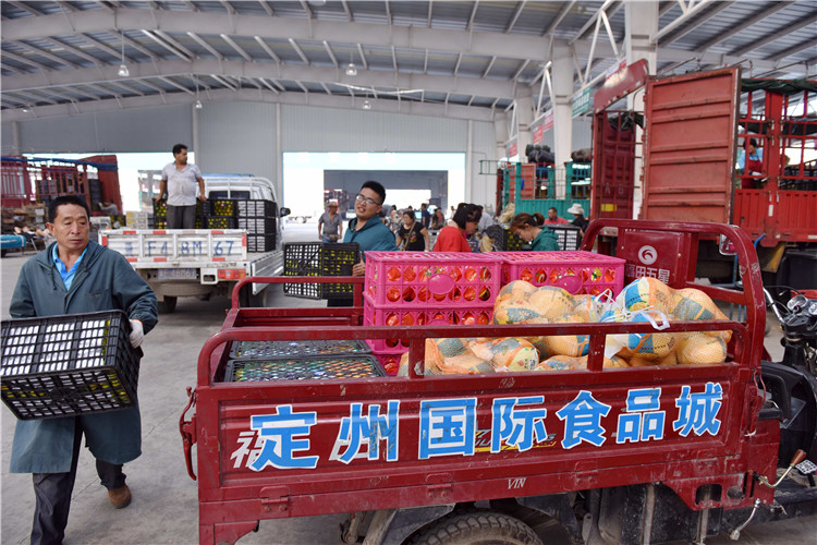 ob体育广东打制宇宙级食物筑筑商业高地年尾食物工业营收超万亿